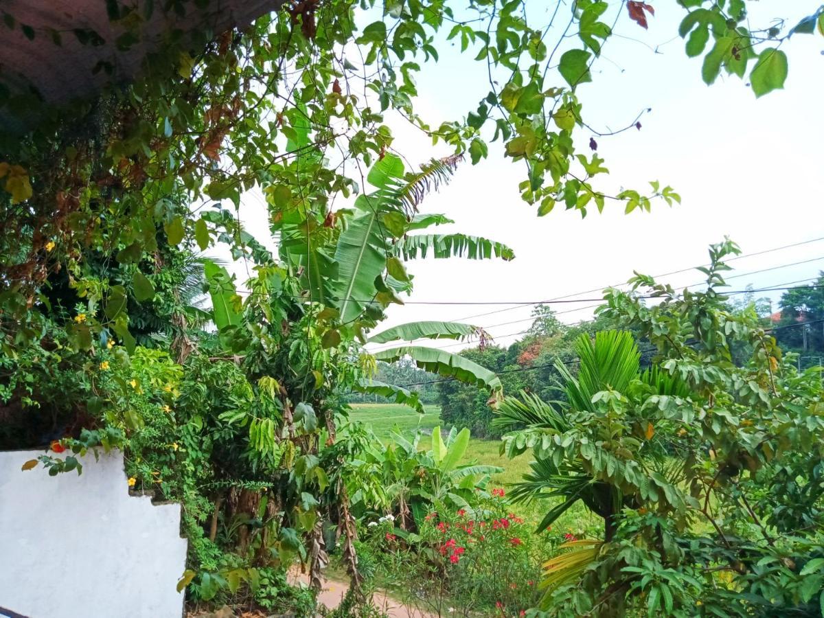 Green View Guest Mirissa Exterior photo